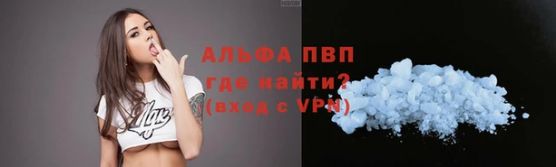 соль ск Артём