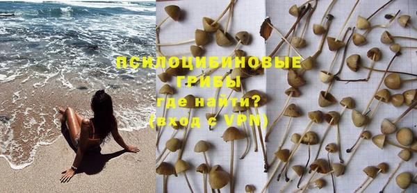 соль ск Артём